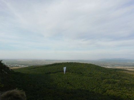 p1060785.jpg